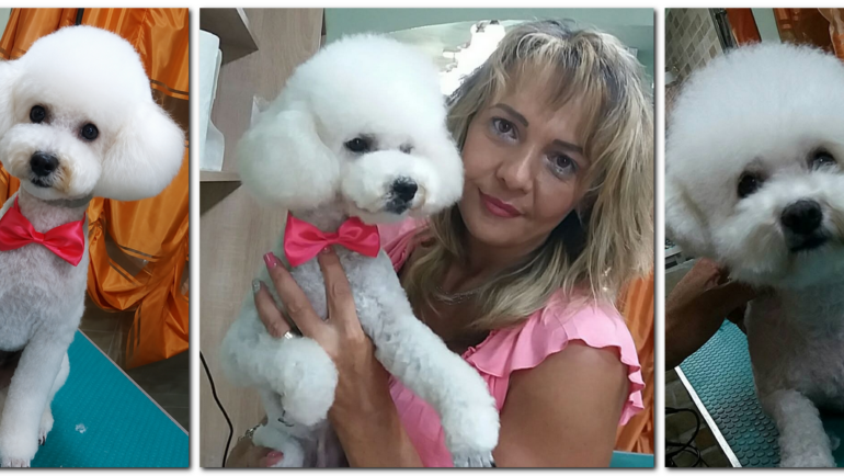 Ce se ascunde în spatele unui grooming reușit?
