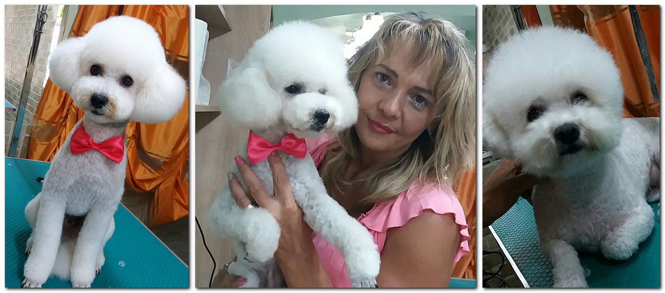 Ce se ascunde în spatele unui grooming reușit?